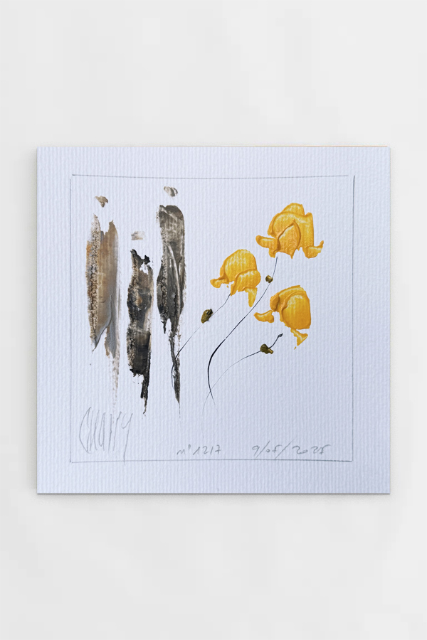 "SANS TITRE" n°1217 – Image 2