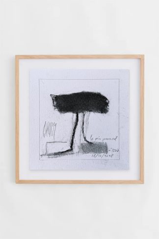 "LE PIN PARASOL" n°1277